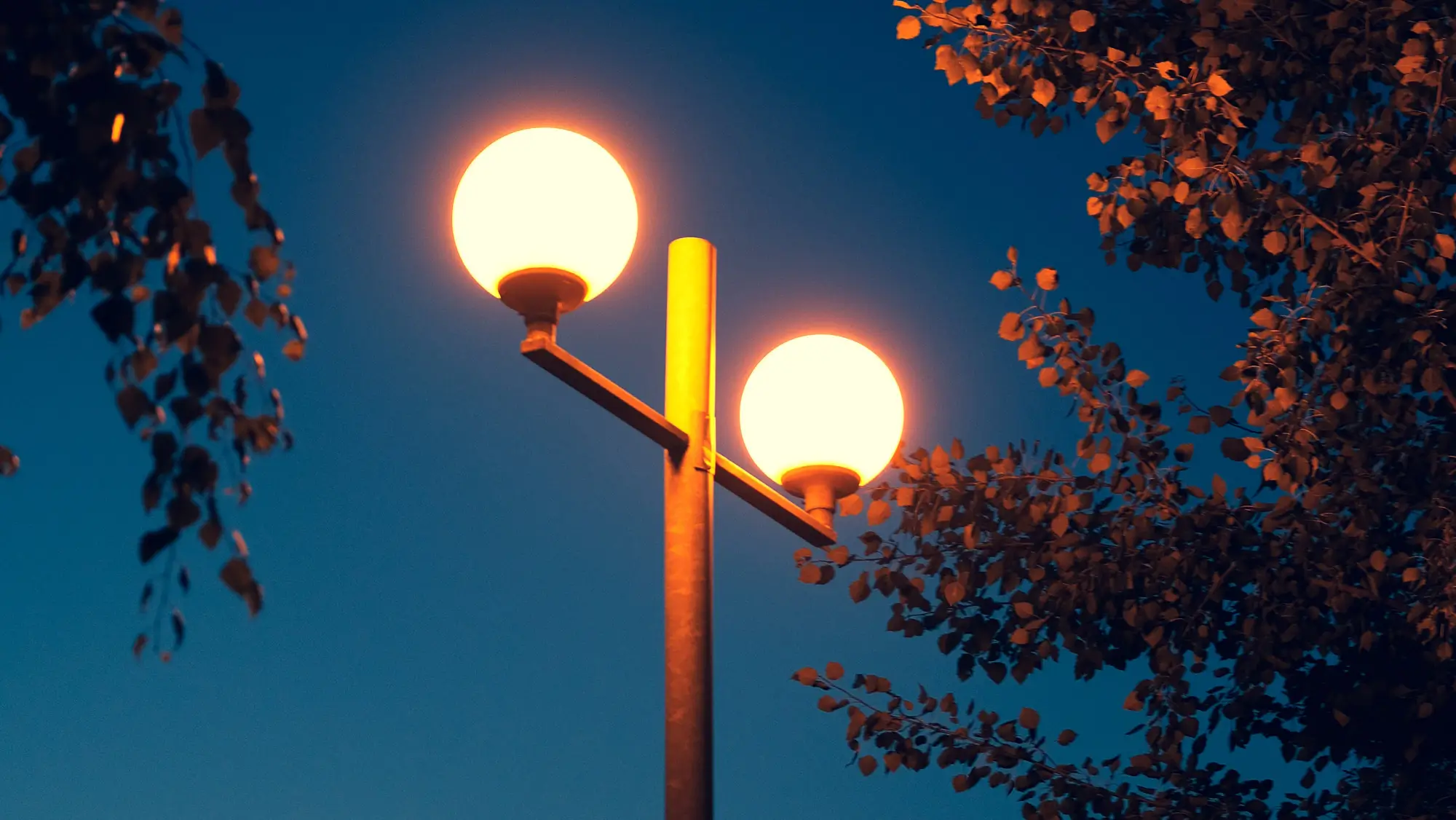 Lights/Lamp Posts img